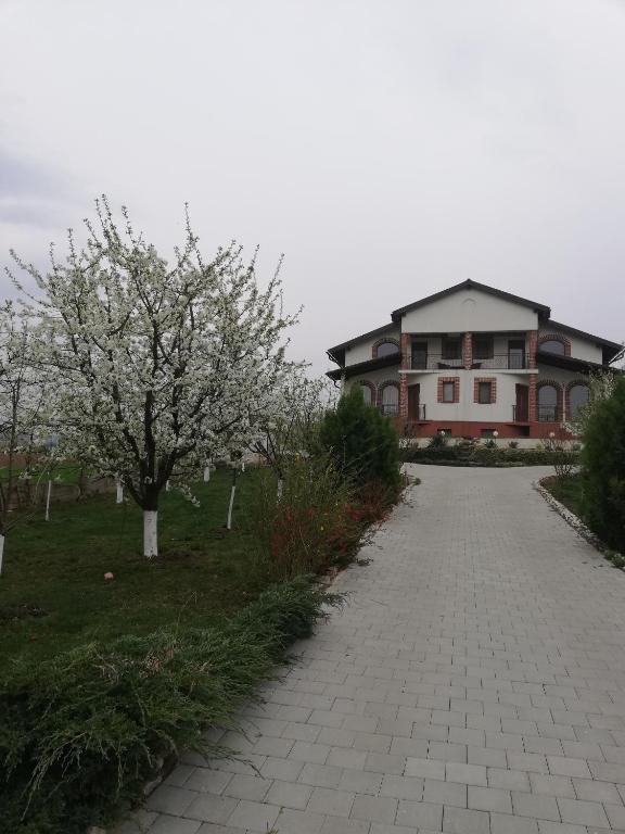 Casa Borza, Alba Iulia — foto 27