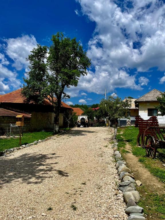 Casa Bunicilor din Leresti — foto 10
