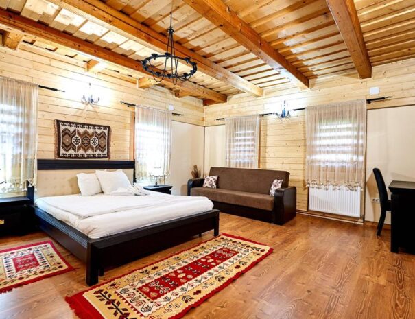 Casa Chira, Vișeu de Sus — foto 14