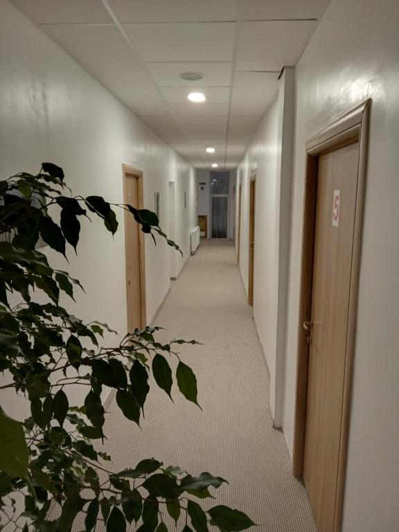 Hotel Sport Confort, Hunedoara — foto 7