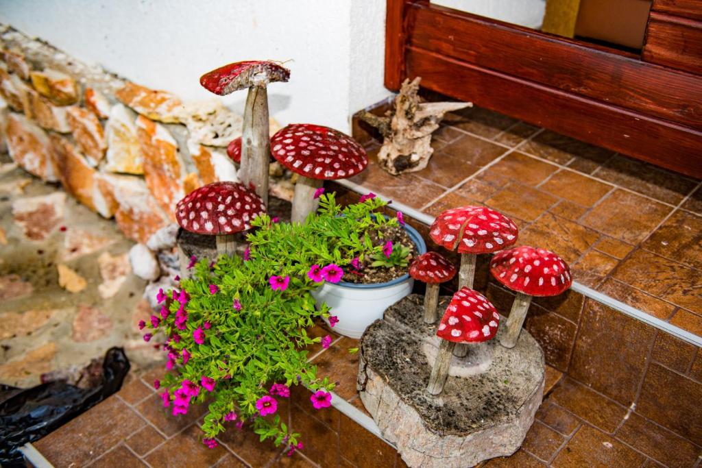 Pensiunea Casa Iancului, Vidra, Alba — foto 8