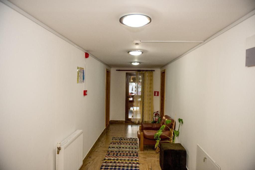 Pensiunea Casa Iancului, Vidra, Alba — foto 9