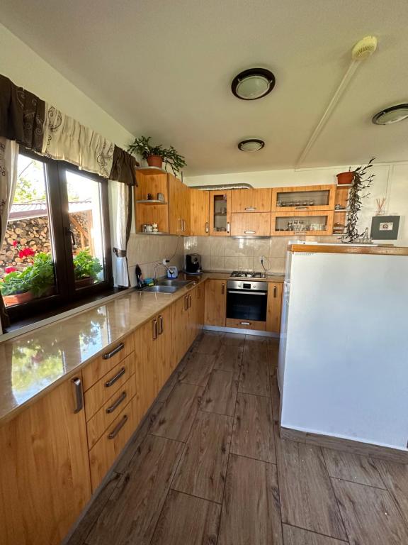 Pensiunea Casa Iancului, Vidra, Alba — foto 5