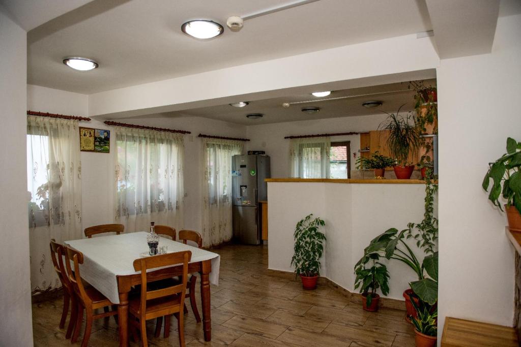 Pensiunea Casa Iancului, Vidra, Alba — foto 10