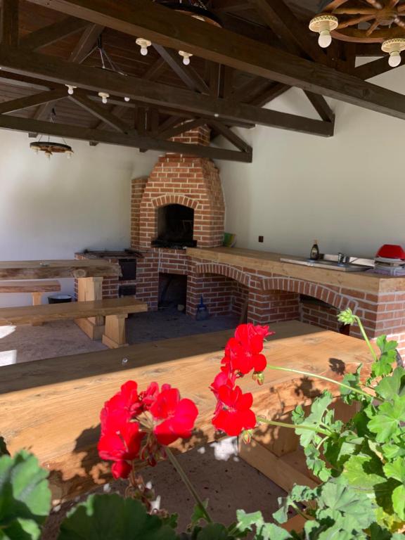 Pensiunea Casa Iancului, Vidra, Alba — foto 38