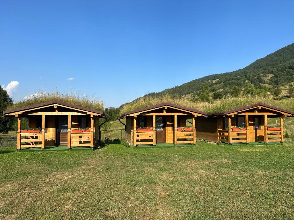 Pensiunea Casa Iancului, Vidra, Alba — foto 34