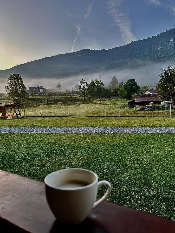 Pensiunea Casa Iancului, Vidra, Alba — foto 20