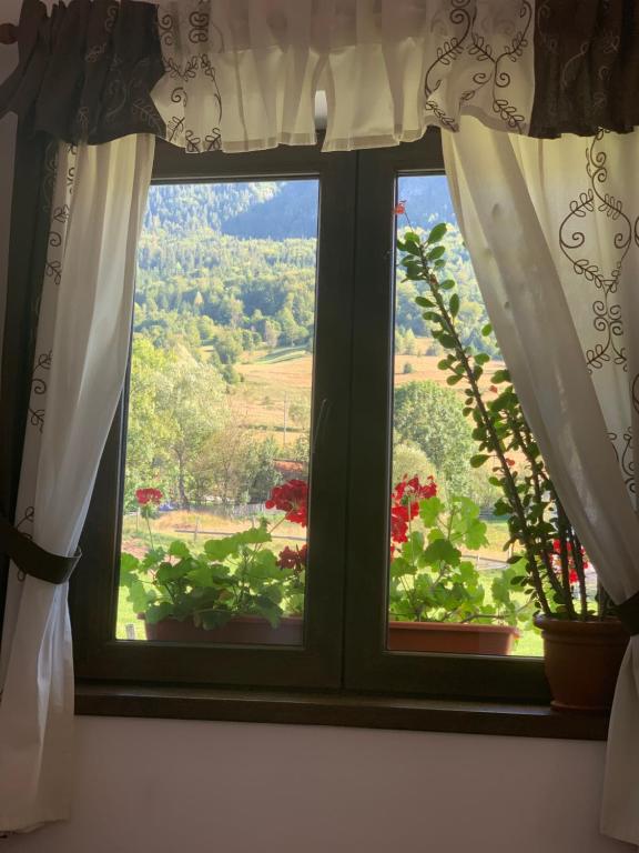 Pensiunea Casa Iancului, Vidra, Alba — foto 36