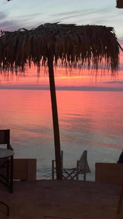 Hotel Bourbon, Vama Veche — foto 13