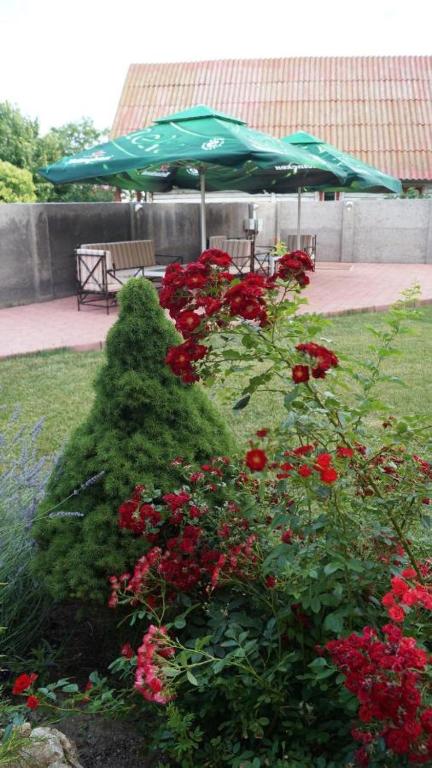 Hotel Bourbon, Vama Veche — foto 17
