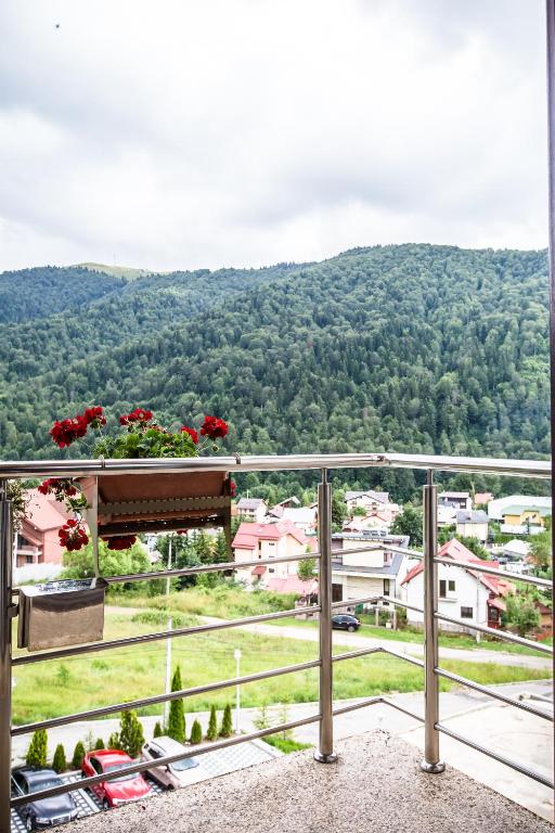 Hotel Carpat Inn, Azuga, Prahova — foto 21