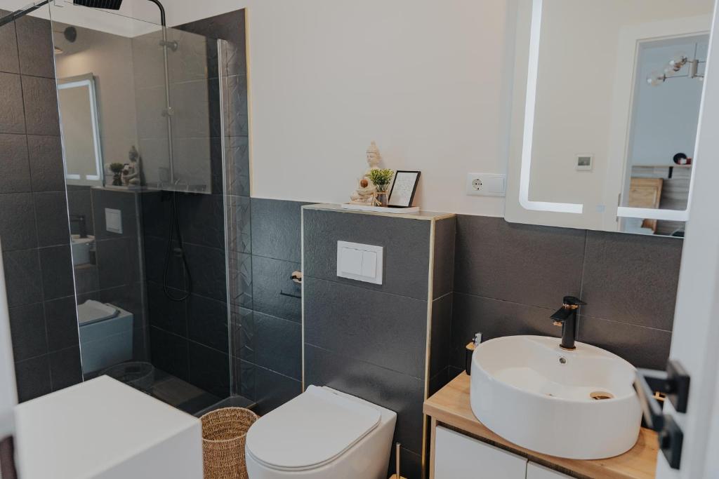 Ioana Guest House, Turda, Cluj — foto 17