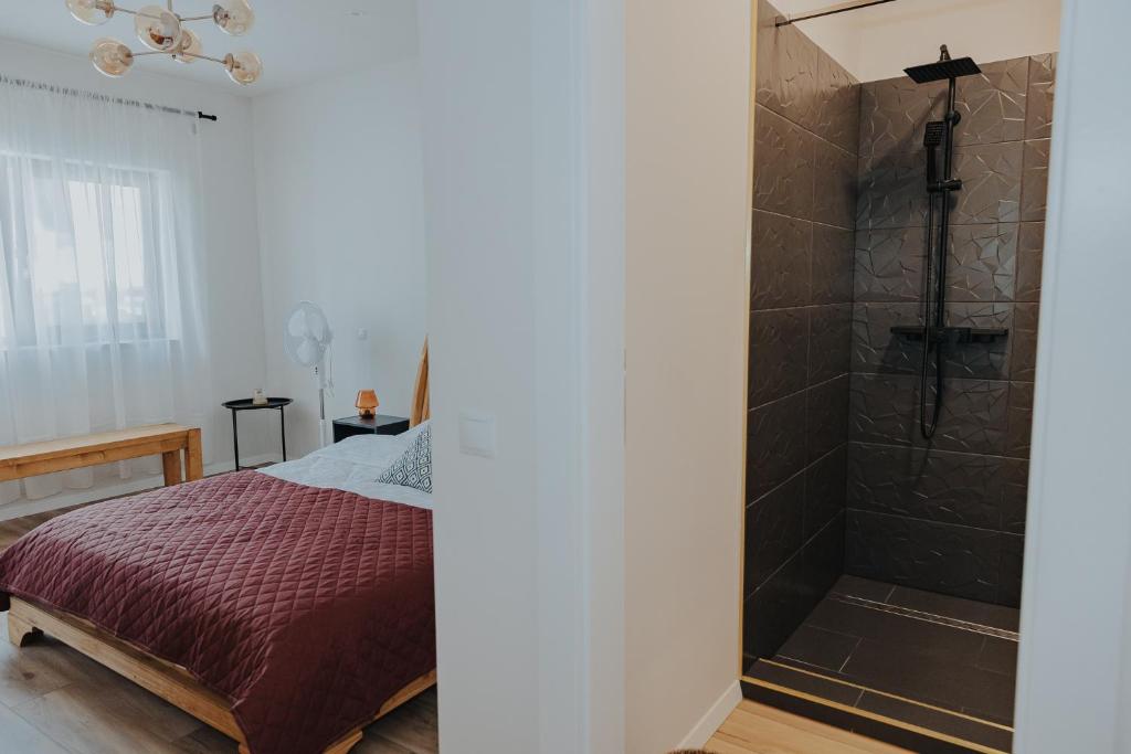 Ioana Guest House, Turda, Cluj — foto 39
