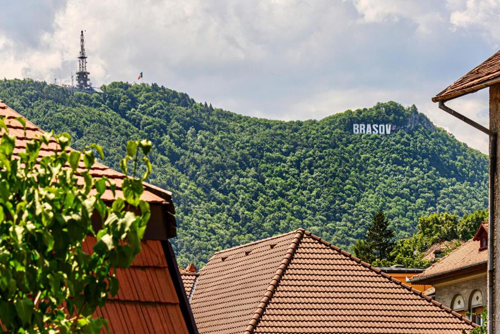 MamaMia - Amazing View - Tampa Mountain — Apartament în Brașov
