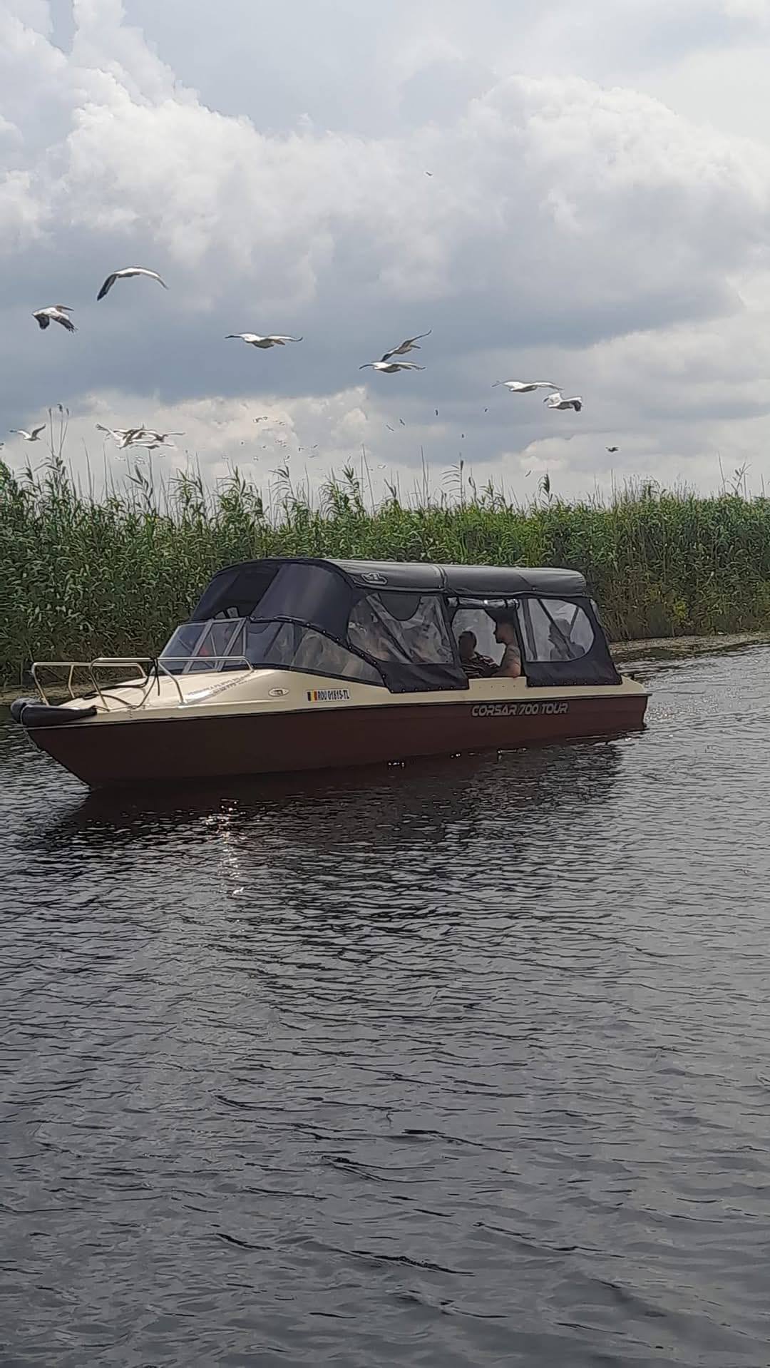 Pensiunea Filippo, Mila 23, Tulcea — foto 16