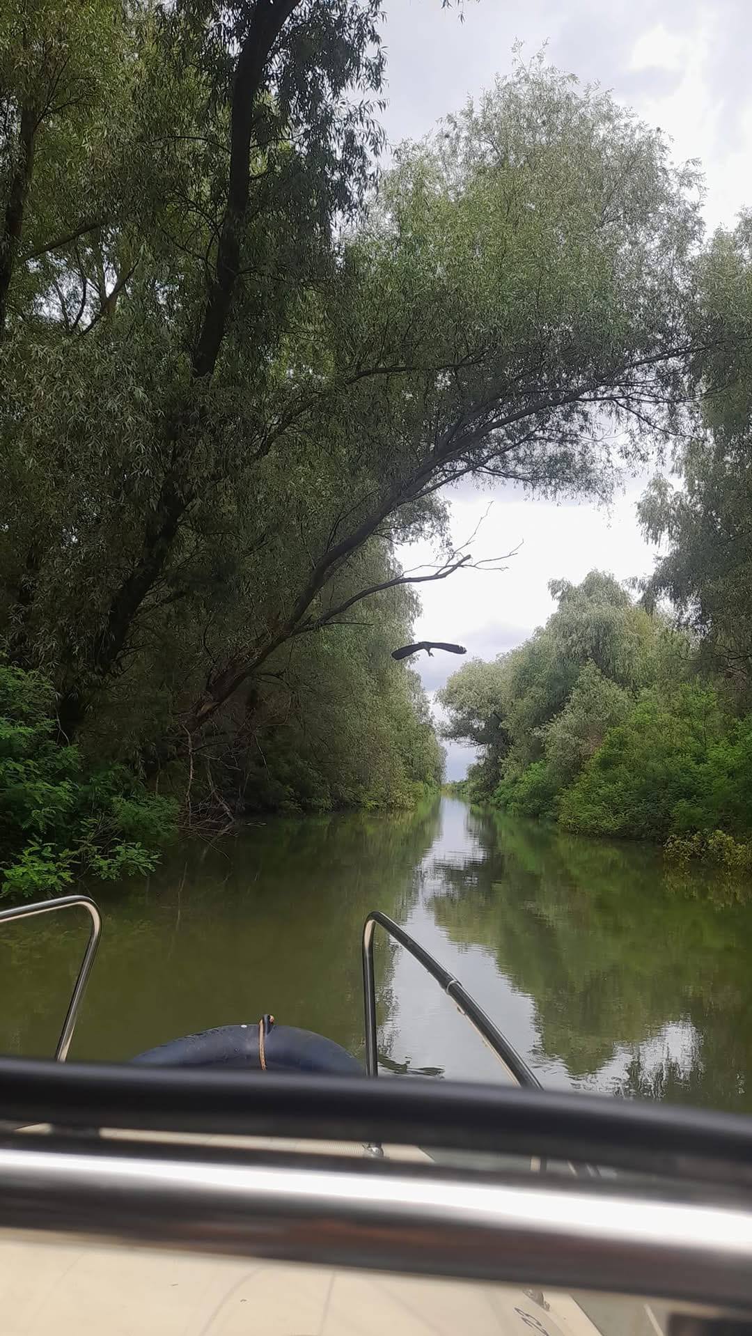 Pensiunea Filippo, Mila 23, Tulcea — foto 17