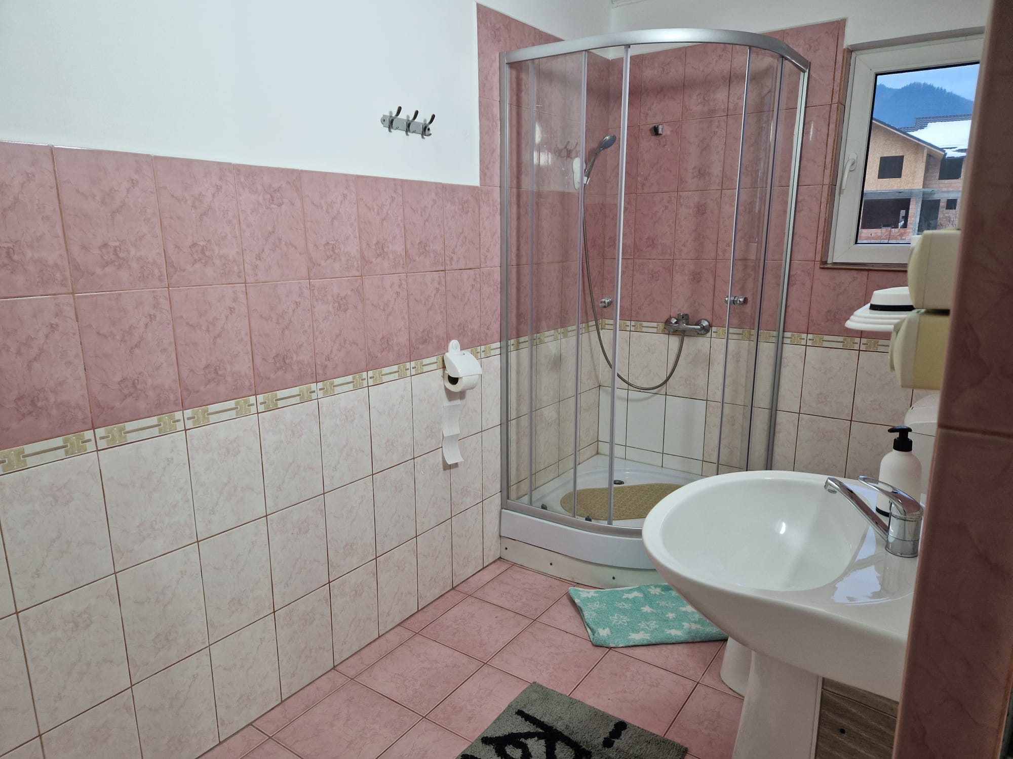 Pensiunea Sanlex, Bicaz, Neamt — foto 11