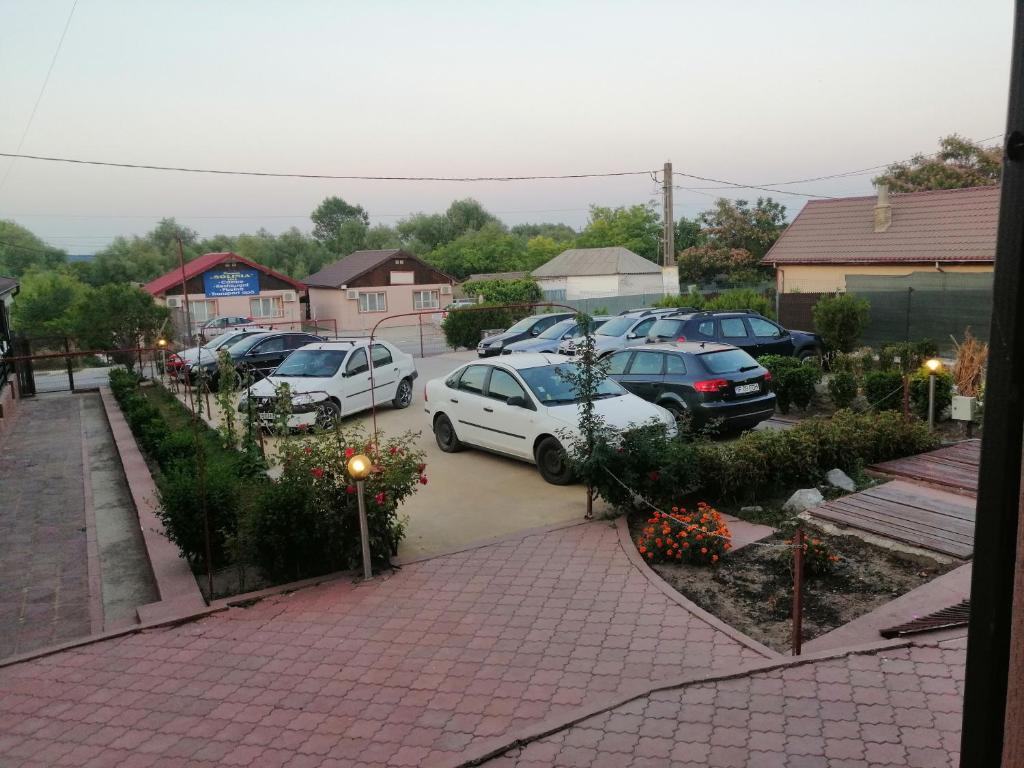 Pensiunea Solinia, Dunavatu de Jos — foto 18