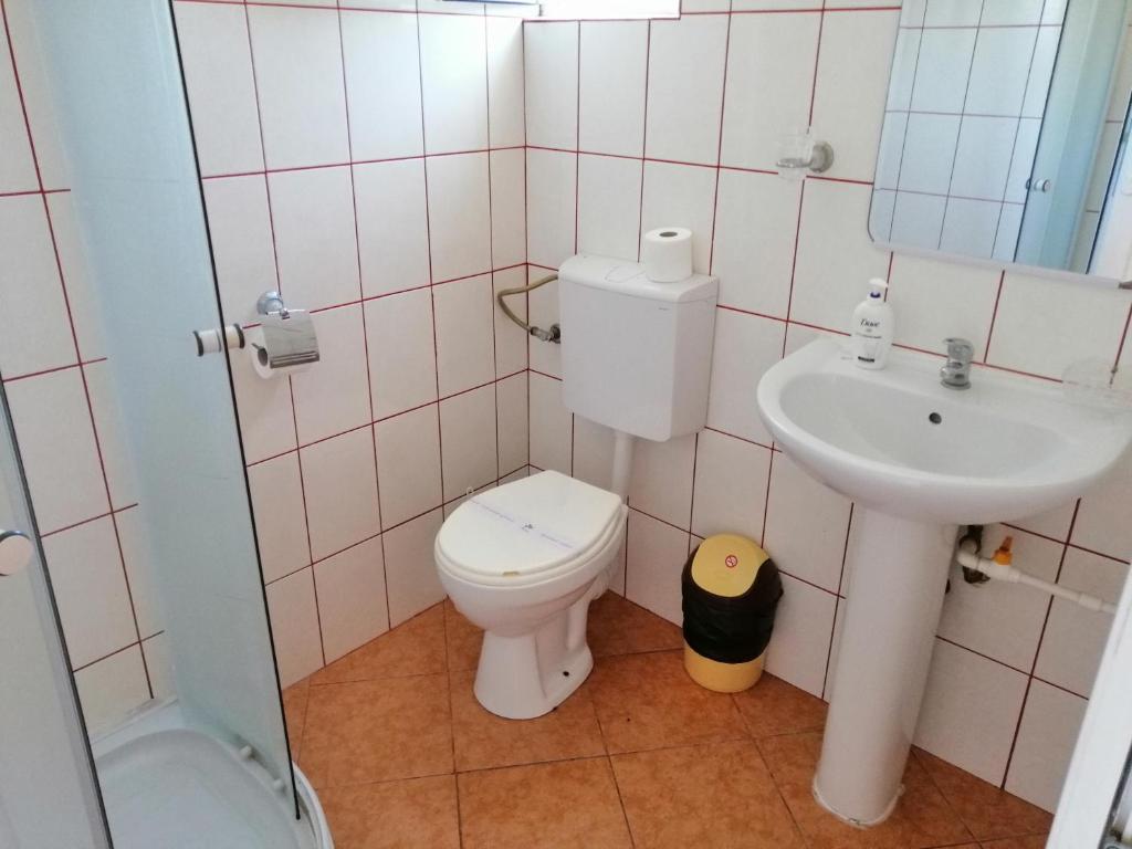 Pensiunea Solinia, Dunavatu de Jos — foto 5