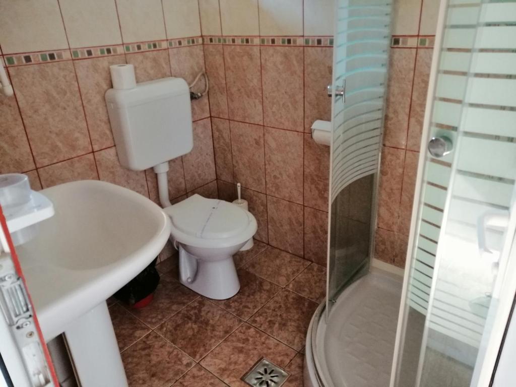 Pensiunea Solinia, Dunavatu de Jos — foto 27