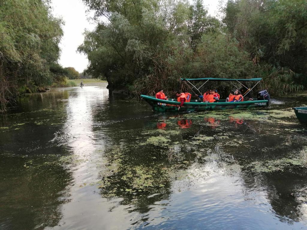 Pensiunea Solinia, Dunavatu de Jos — foto 28