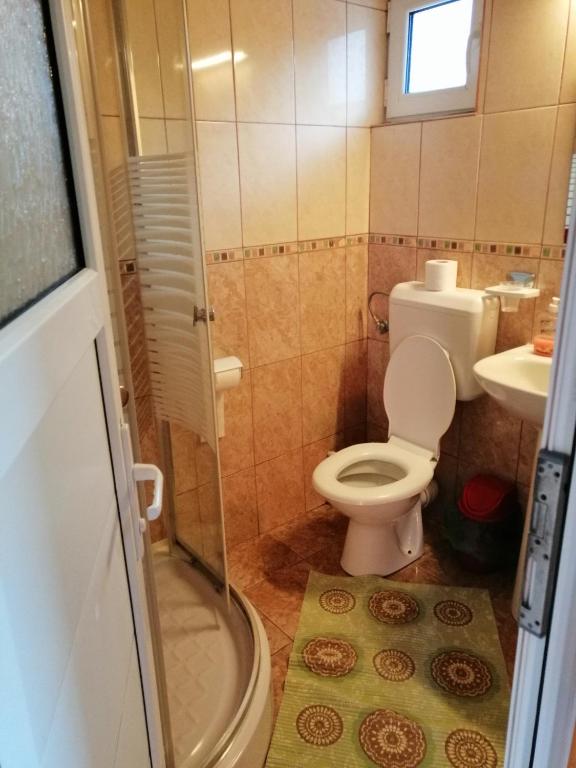 Pensiunea Solinia, Dunavatu de Jos — foto 29