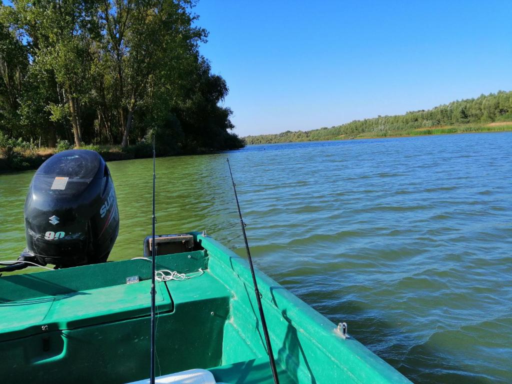 Pensiunea Solinia, Dunavatu de Jos — foto 35