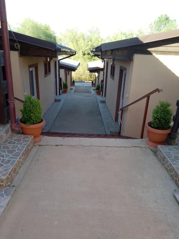 Pensiunea Solinia, Dunavatu de Jos — foto 37
