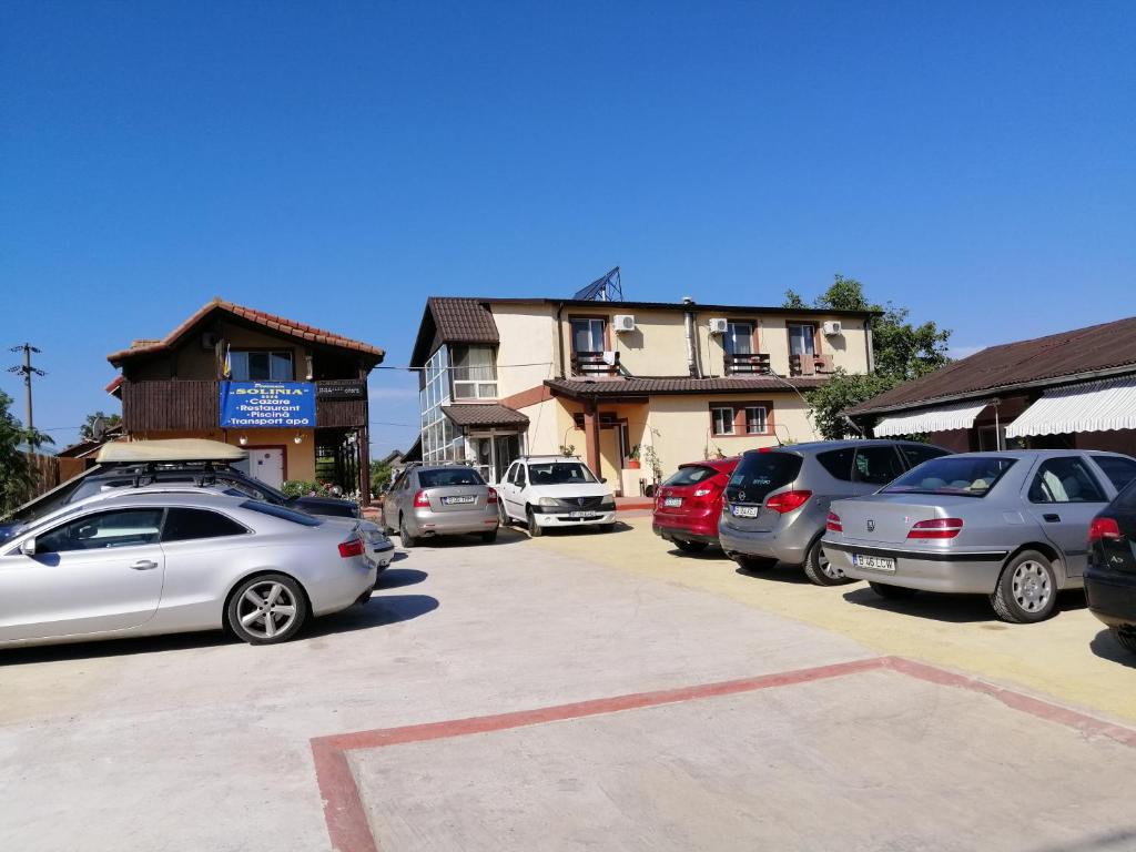 Pensiunea Solinia, Dunavatu de Jos — foto 9