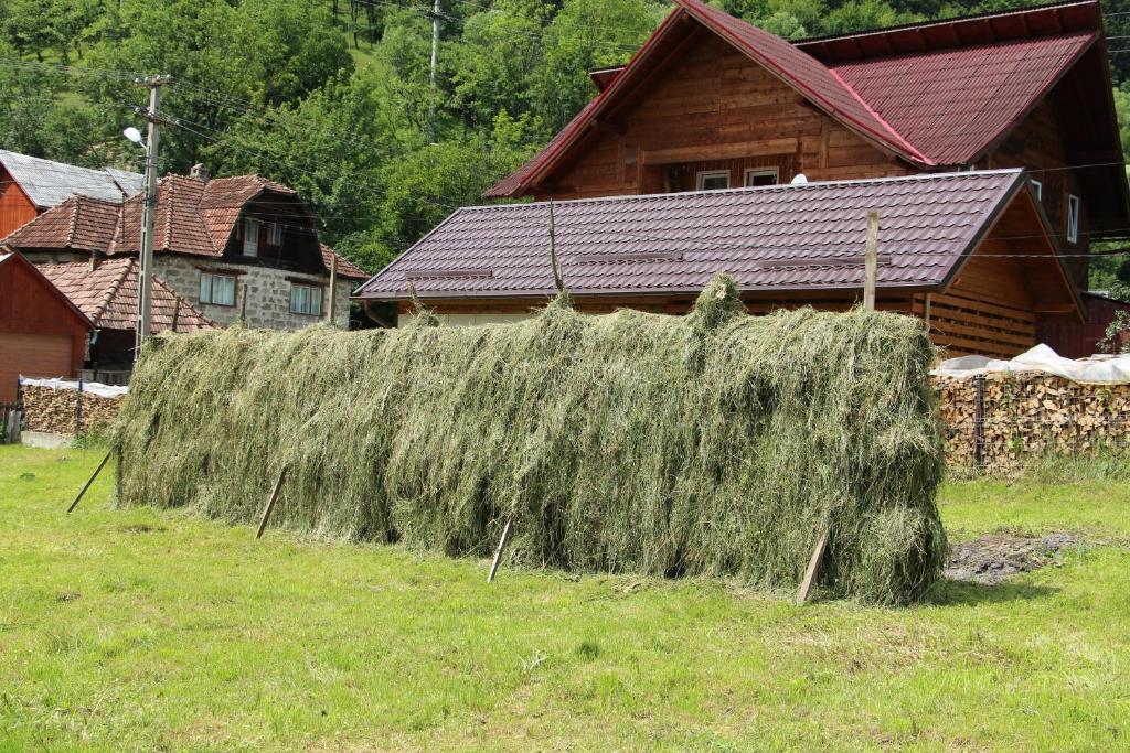 Popasul Calatorului Moisei, Maramures — foto 27