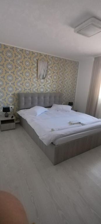 Cazare de Vis, Oreavul, Buzau — foto 10