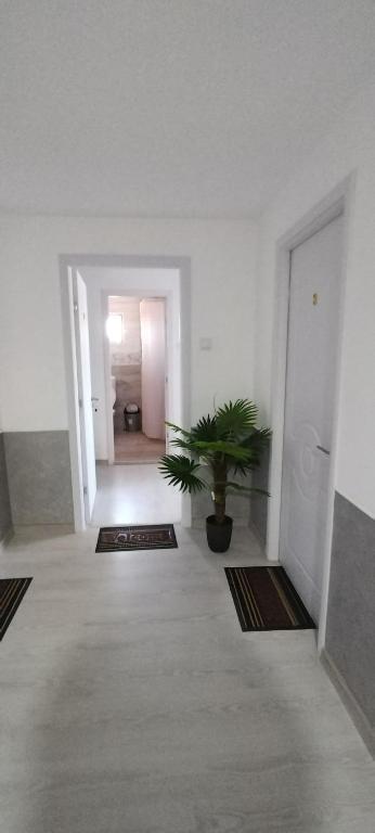 Cazare de Vis, Oreavul, Buzau — foto 30