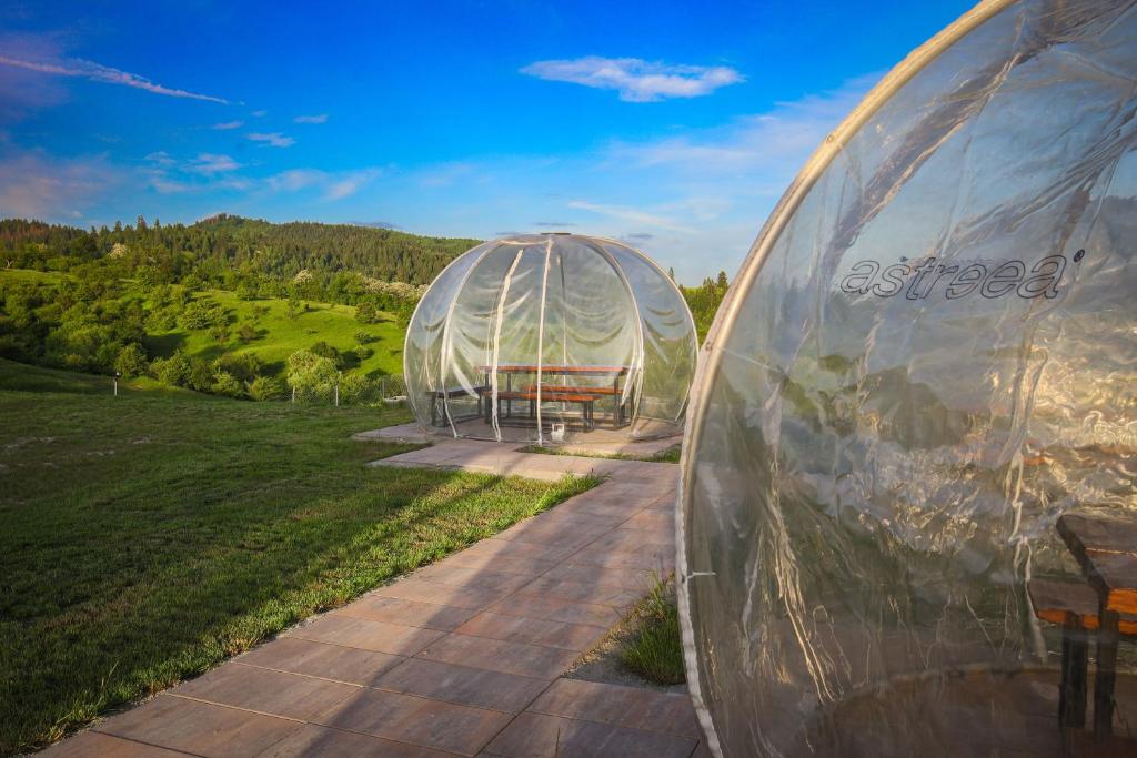 Garden Village Retreat, Bughea de Sus — foto 16