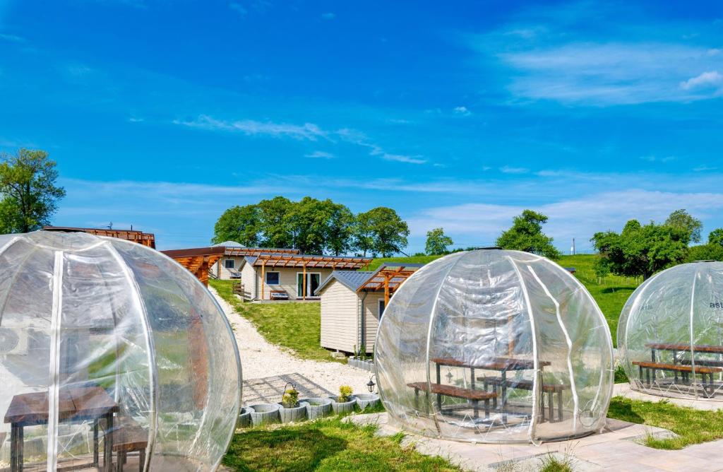 Garden Village Retreat, Bughea de Sus — foto 19