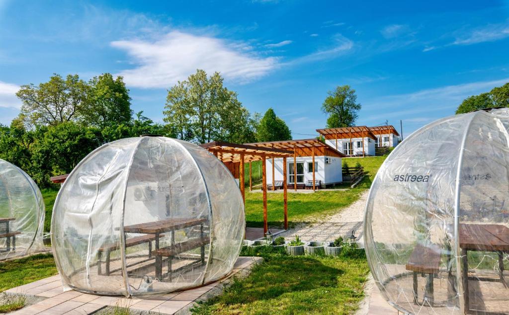 Garden Village Retreat, Bughea de Sus — foto 20