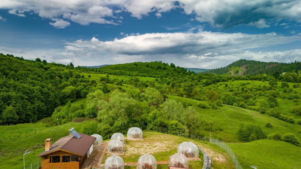 Garden Village Retreat, Bughea de Sus — foto 3