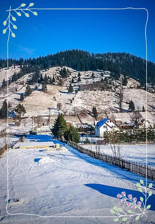 Luisenthal Conac, Fundu Moldovei, Suceava — foto 9