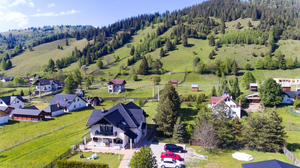 Luisenthal Conac, Fundu Moldovei, Suceava — foto 7