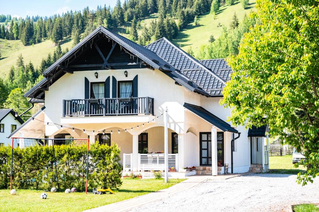 Luisenthal Conac, Fundu Moldovei, Suceava — foto 6
