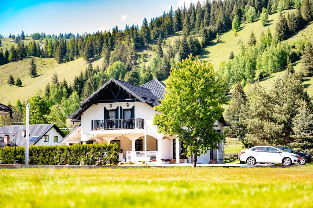 Luisenthal Conac, Fundu Moldovei, Suceava — foto 10