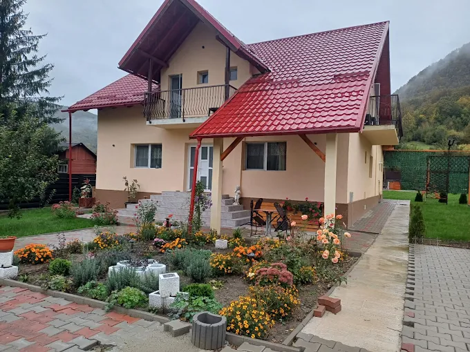 Pensiunea Cristalin, Slanic - Moldova — foto 36