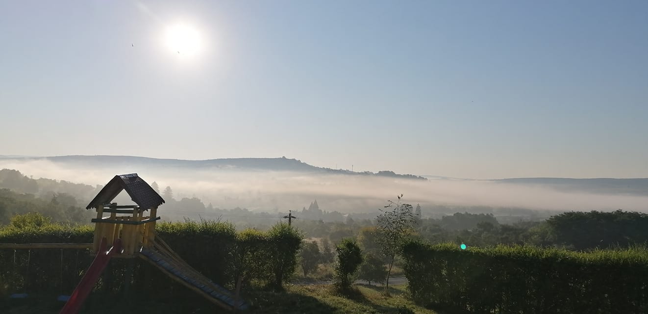 Pensiunea Elisabeta - Centrul Tării, Dealu Frumos — foto 20