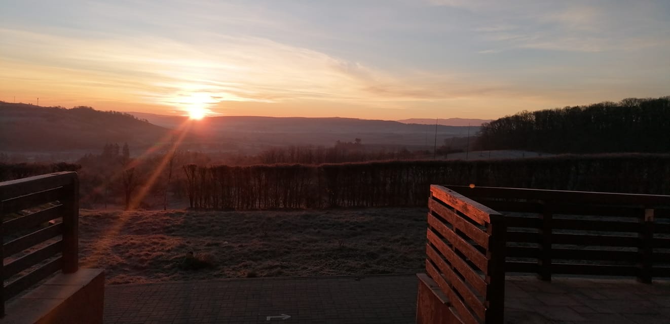 Pensiunea Elisabeta - Centrul Tării, Dealu Frumos — foto 25