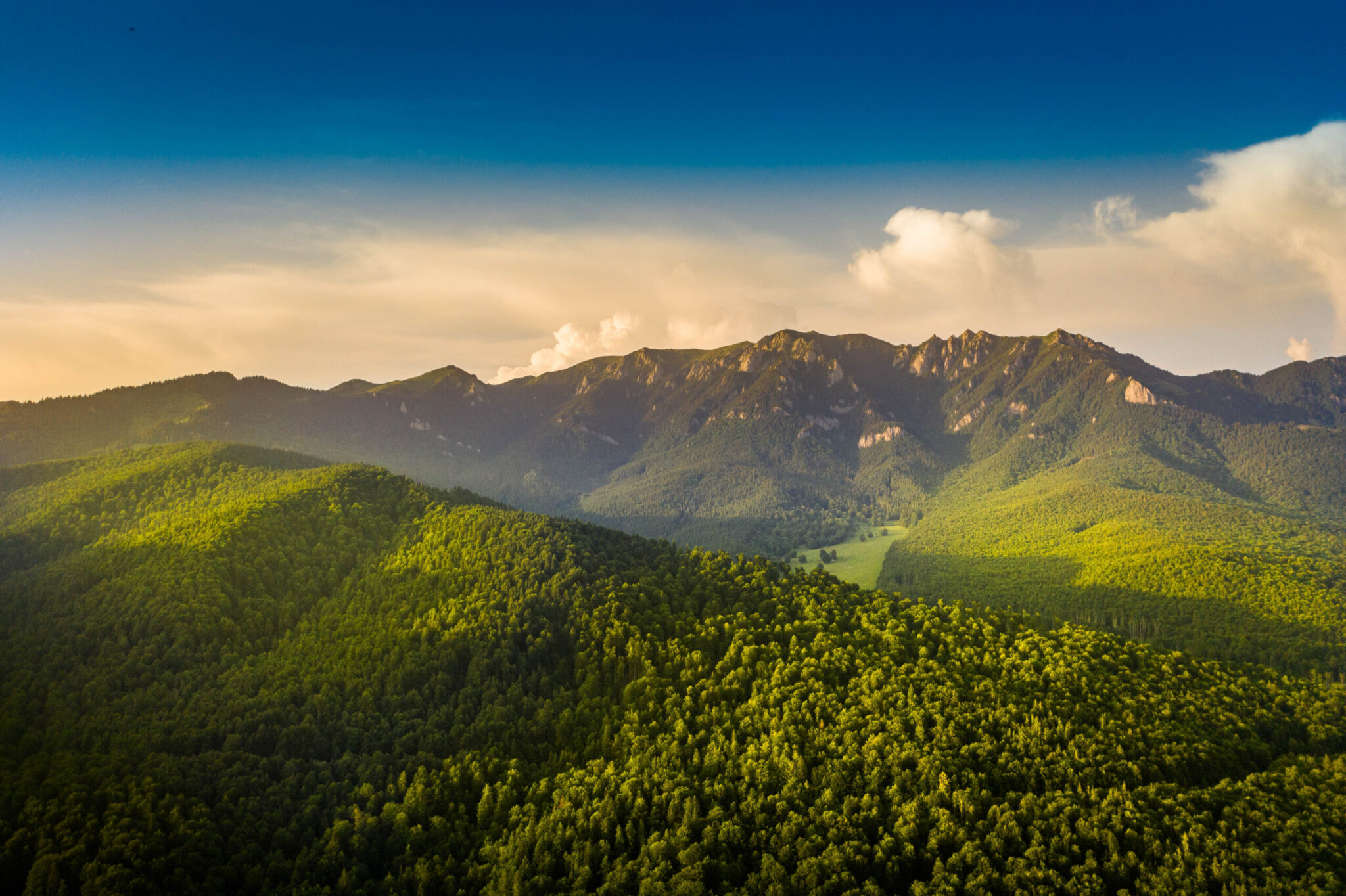 Pensiunea Ideal, Cheia, Prahova — foto 7