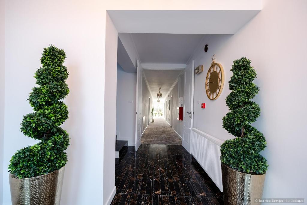 Tesa Boutique Hotel — foto 20