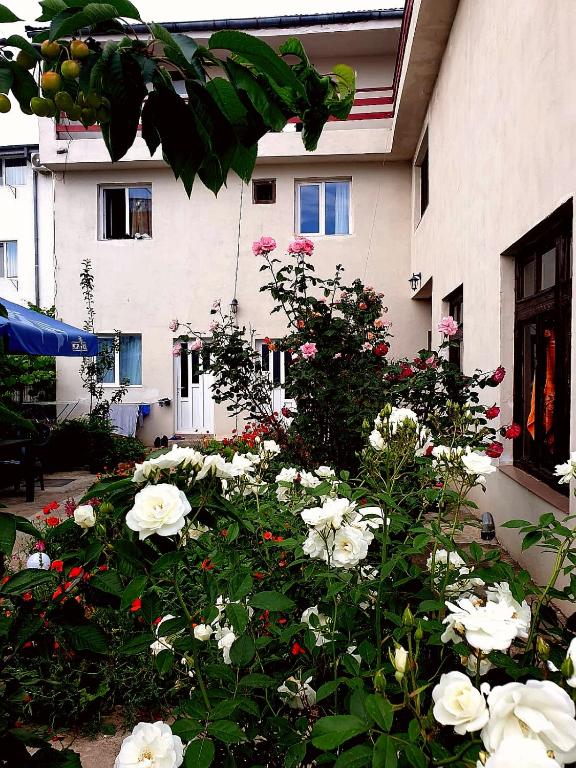 Vila 5, Eforie Nord — foto 30