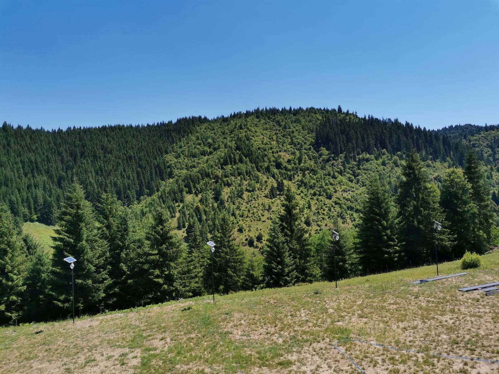 Vila Medeea Stânceni, Mures — foto 34