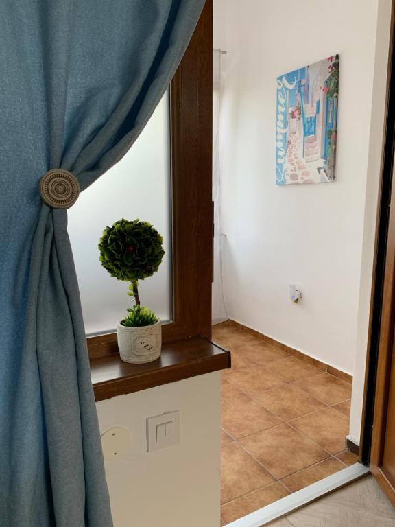 Vila Odu — foto 10