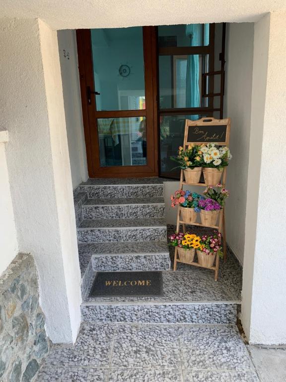 Vila Odu — foto 32