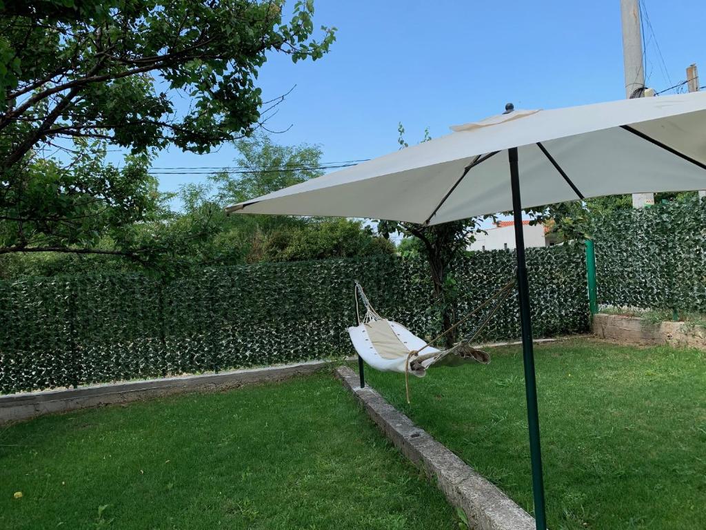 Vila Odu — foto 42